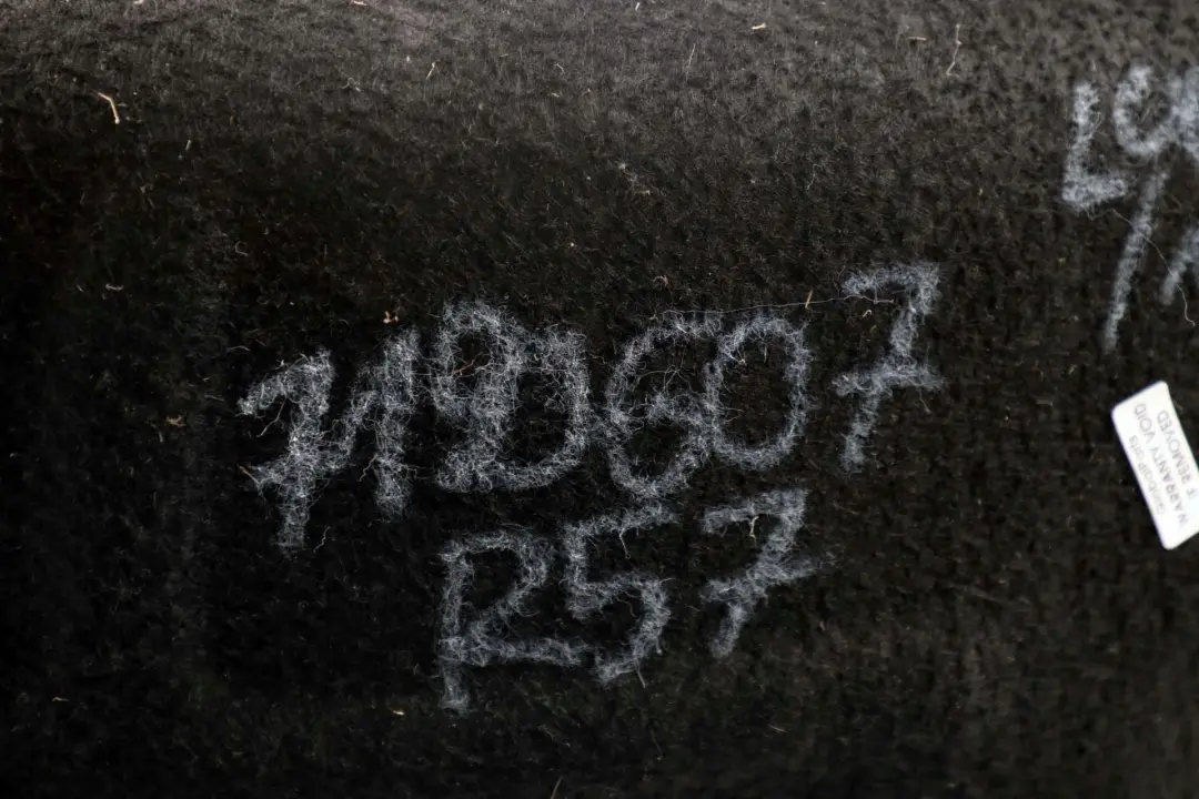 Osłona Nadkole Lewe Tylne Lewy Tył do Mini R57 R58 o numerze 7190607 Mini R57 R58 Osłona Nadkole Lewe Tylne Lewy Tył - SKU 7190607 - Numer Części 7190607