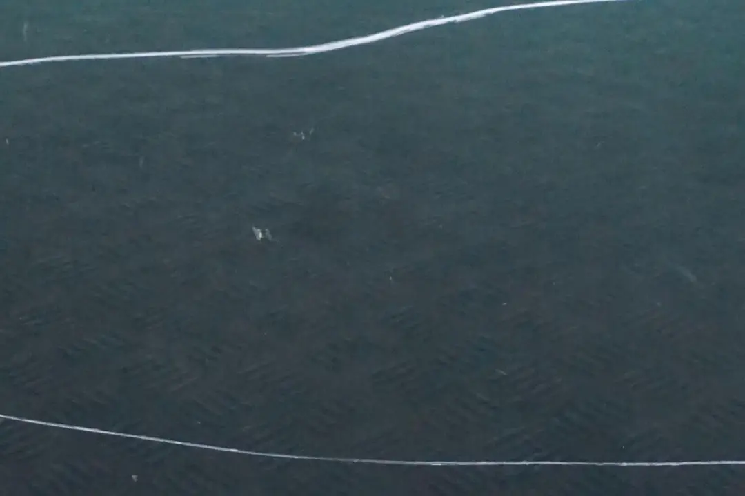 Drzwi lewe British Racing Green do MINI Cooper R56 o numerze 2755935 MINI Cooper R56 Drzwi lewe British Racing Green - SKU 2755935-BRG5 - Numer Części 2755935