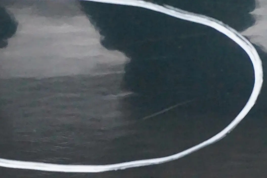 Cote Conducteur Porte Arriere Droite Vert Oxford Metallique - 430 pour BMW X5 E53 à propos du numéro de pièce 8256828 BMW X5 E53 Cote Conducteur Porte Arriere Droite Vert Oxford Metallique - 430 - SKU 8256828-OXF2 - Numéro de pièce 8256828