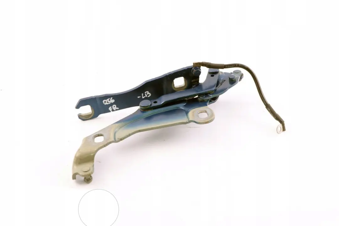 Mini Cooper R55 R56 Cardine Lembo Anteriore Destra Fulmine Blu - SKU 2751204-LB - Numero di parte 2751204