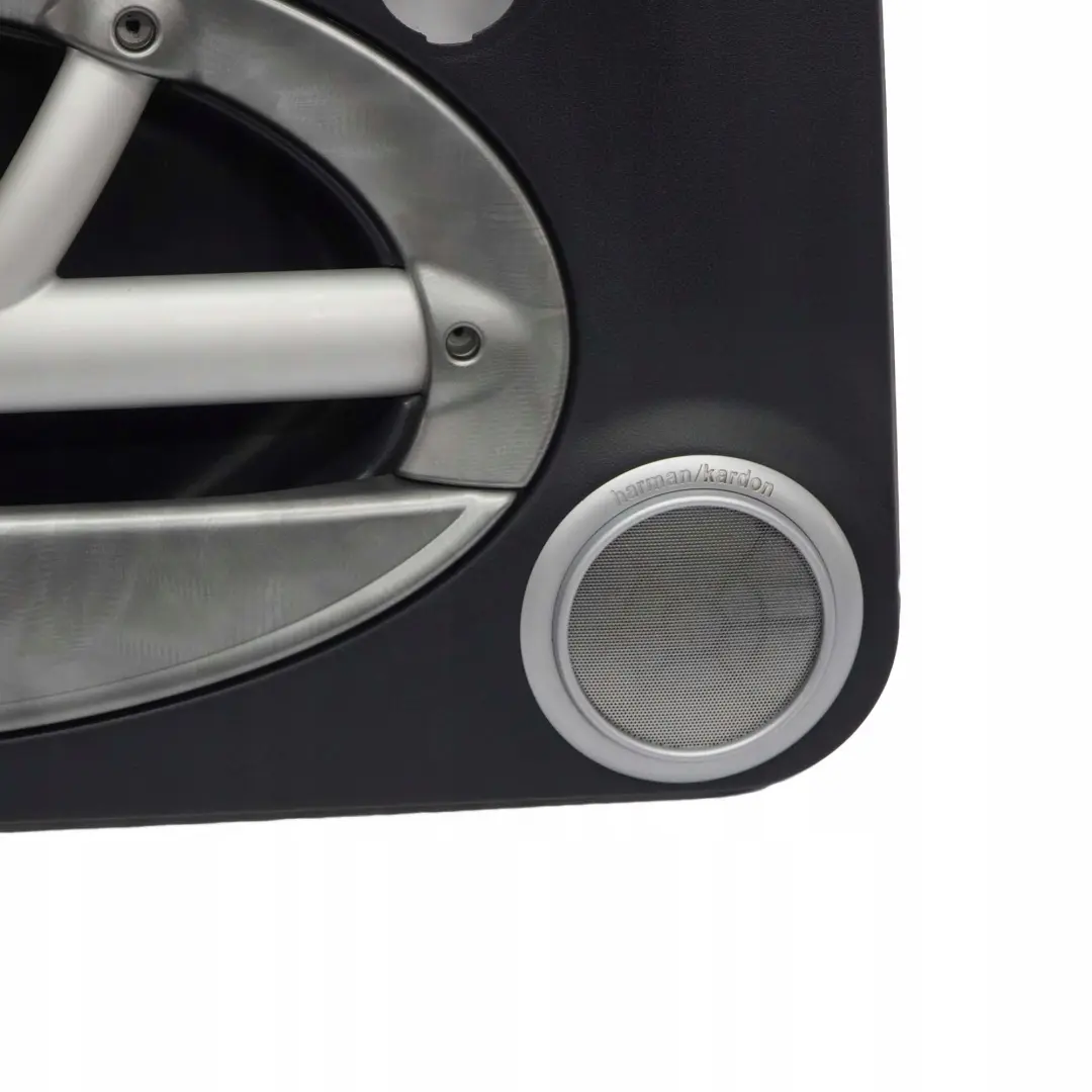 Türverkleidung Dekor Vorn Links Harman Kardon Alloy Patina für Mini Cooper R50 R53 mit Teilenummer 7141279 Mini Cooper R50 R53 Türverkleidung Dekor Vorn Links Harman Kardon Alloy Patina - SKU 7141279-1 - Teilenummer 7141279