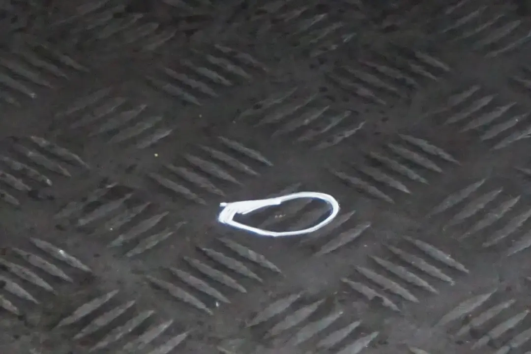 Door Rear Right O/S Black Sapphire Metallic - 475 to BMW 7 Series E66 Long with Part number 7202090 BMW 7 Series E66 Long Door Rear Right O/S Black Sapphire Metallic - 475 - SKU 7202090-BS - Part number 7202090