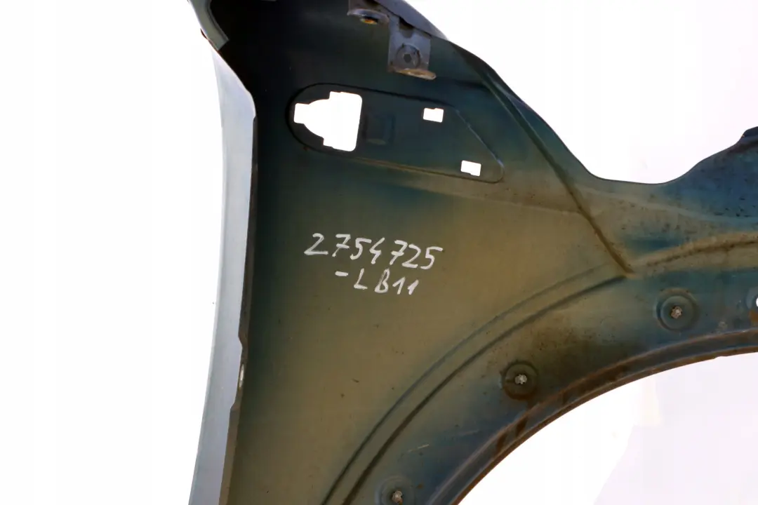 Pannello Laterale Ant. SX Parafango Fulmine Blu per Mini R55 R56 R57 R58 R59 11 con numero di parte 2754725 Mini R55 R56 R57 R58 R59 11 Pannello Laterale Ant. SX Parafango Fulmine Blu - SKU 2754725-LB11 - Numero di parte 2754725