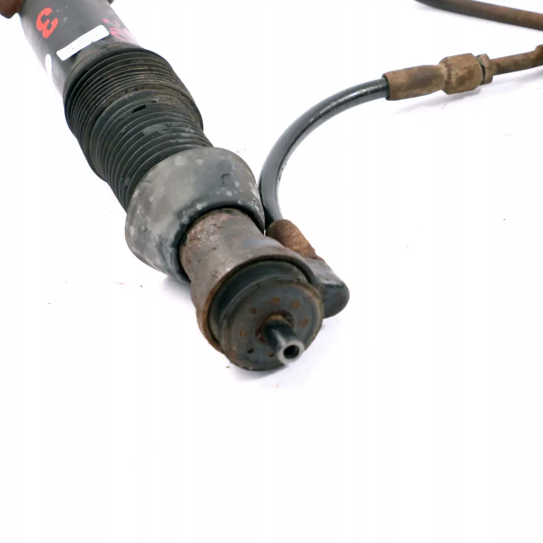 Mercedes-Benz S210 W210 T-Modell Niveau Sport Hinterachse Stoßdämpfer Set für mit Teilenummer A2103201713 Mercedes-Benz S210 W210 T-Modell Niveau Sport Hinterachse Stoßdämpfer Set - SKU A2103201713 - Teilenummer A2103201713