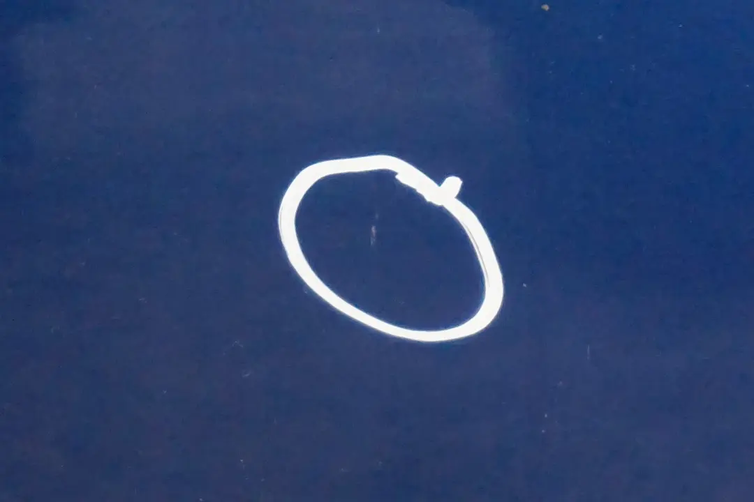 Beifahrer Tür vorne rechts Lightning Blue für BMW MINI Cooper R55 R56 R57 R58 R59 mit Teilenummer 2755936 BMW MINI Cooper R55 R56 R57 R58 R59 Beifahrer Tür vorne rechts Lightning Blue - SKU 2755936-LB10 - Teilenummer 2755936