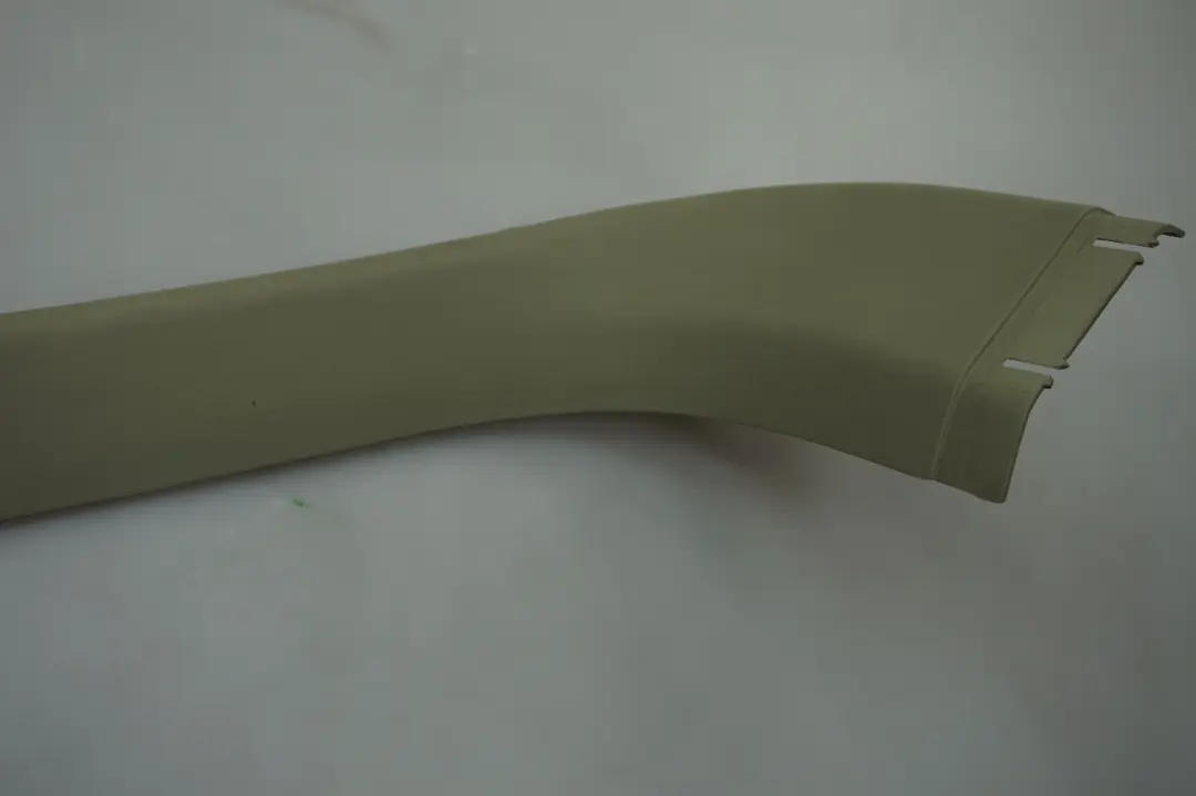 Rivestimento Portellone Posteriore Destra Interno Verde Pastello per BMW X5 E53 con numero di parte 8402618 BMW X5 E53 Rivestimento Portellone Posteriore Destra Interno Verde Pastello - SKU 8266652 - Numero di parte 8402618