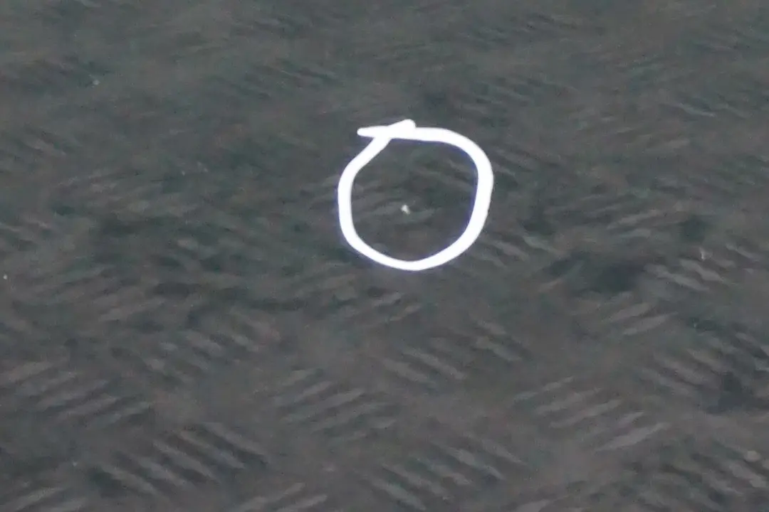 Fahrerseite Tür vorne links British Green für BMW MINI Cooper 7 R55 R56 R57 R58 R59 mit Teilenummer 2755935 BMW MINI Cooper 7 R55 R56 R57 R58 R59 Fahrerseite Tür vorne links British Green - SKU 2755935-BRG7 - Teilenummer 2755935