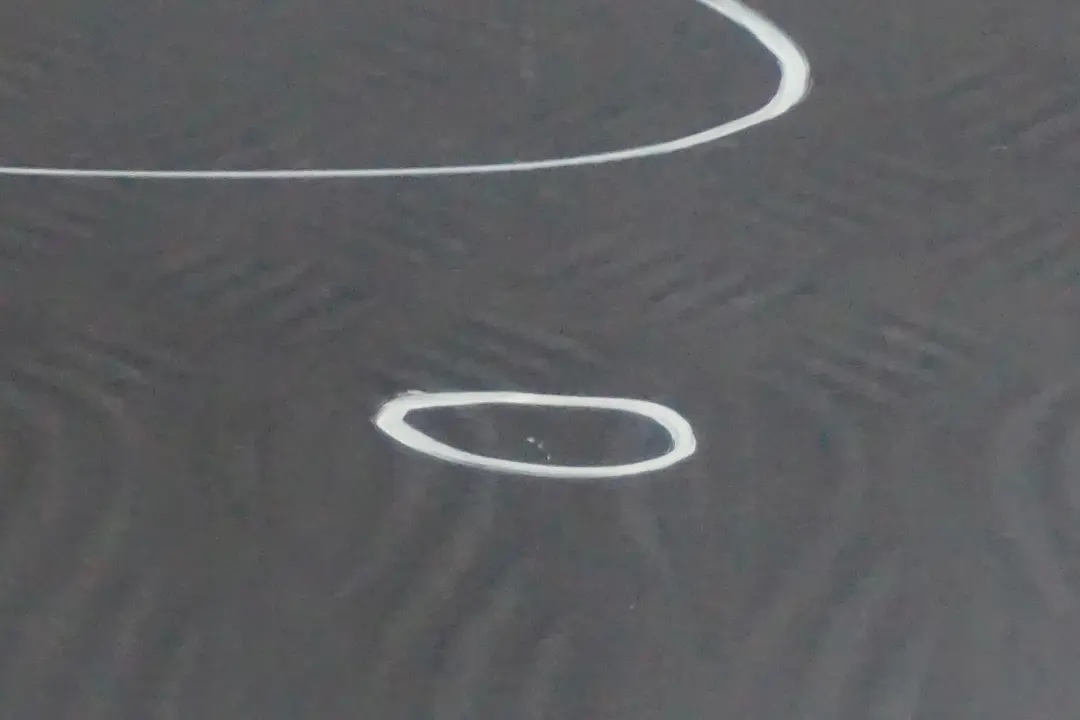 drzwi prawe przednie Quarzblau A18 do BMW 1 E87 o numerze 7191012 BMW 1 E87 drzwi prawe przednie Quarzblau A18 - SKU 7191012-QB19 - Numer Części 7191012