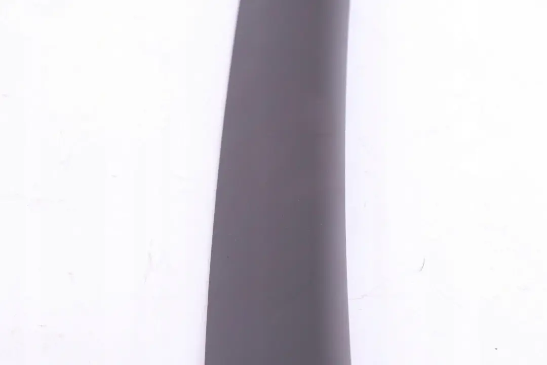 Rivestimento Portellone Posteriore SX Grigio Basalto per BMW X3 E83 con numero di parte 3404320 BMW X3 E83 Rivestimento Portellone Posteriore SX Grigio Basalto - SKU 3404320 - Numero di parte 3404320