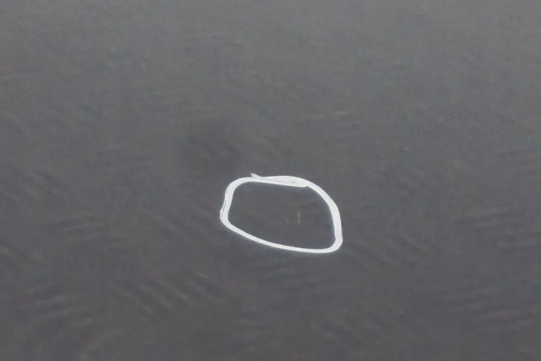 BMW0 E87 Porta anteriore sinistra Quarzblau Blu Metallico - A18 per  con numero di parte 7191011  BMW0 E87 Porta anteriore sinistra Quarzblau Blu Metallico - A18 - SKU 7191011-QB10 - Numero di parte 7191011