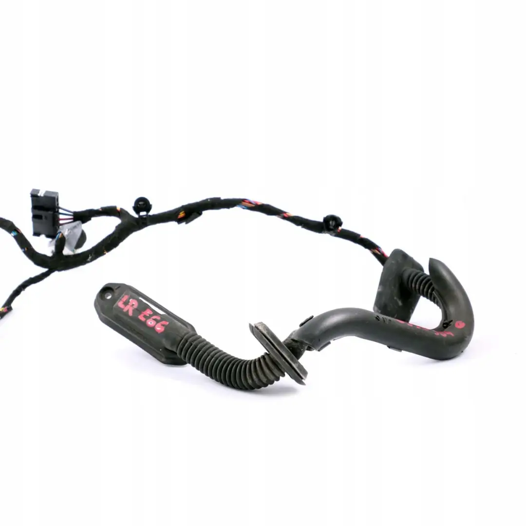 BMW 7 E66 Rear Left Door N/S Wiring Harness Loom Module Carrier - SKU 6950384 - Part number 6950384