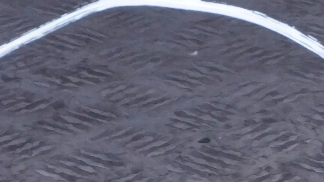 Door Front Right O/S Black Sapphire Metallic - 475 to BMW 1 SERIES 32 E87 E87N with Part number 7191012 BMW 1 SERIES 32 E87 E87N Door Front Right O/S Black Sapphire Metallic - 475 - SKU 7191012-BS32 - Part number 7191012