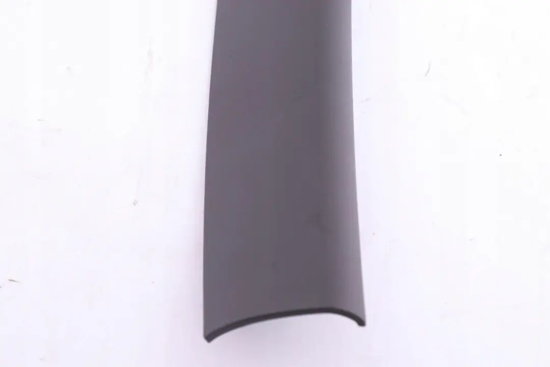 Rivestimento Portellone Posteriore SX Grigio Basalto per BMW X3 E83 con numero di parte 3404320 BMW X3 E83 Rivestimento Portellone Posteriore SX Grigio Basalto - SKU 3404320 - Numero di parte 3404320