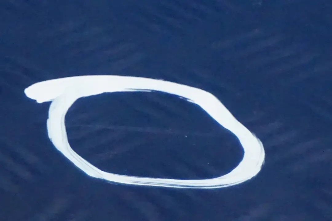 drzwi lewe tylne tył Sydney Blau A19 do BMW E87 o numerze 7191017 BMW E87 drzwi lewe tylne tył Sydney Blau A19 - SKU 7191017-SYD12 - Numer Części 7191017