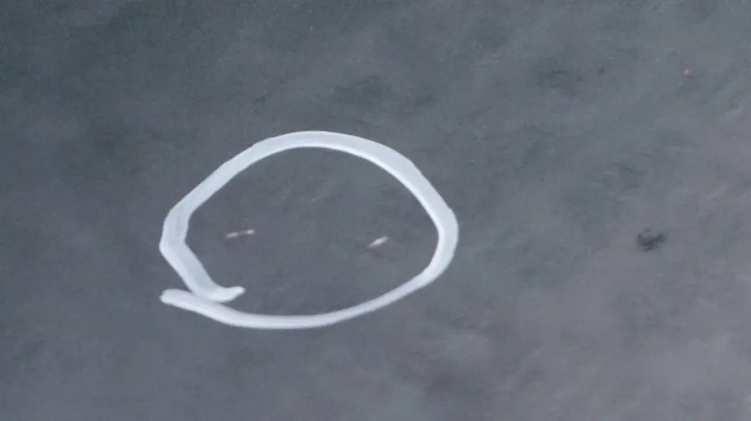 Passeggero Porta Frontale Dx British Racing Green per Mini Cooper R55 R56 R57 con numero di parte 2755936 Mini Cooper R55 R56 R57 Passeggero Porta Frontale Dx British Racing Green - SKU 2755936-BRG4 - Numero di parte 2755936