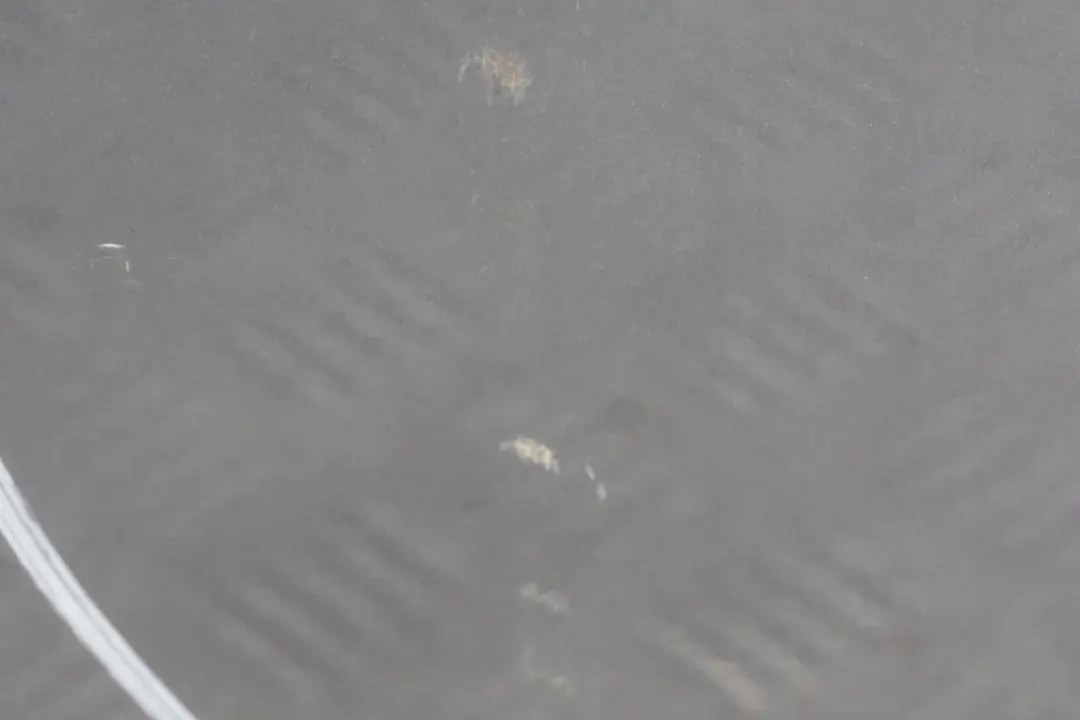 Drzwi lewe tylne tył silbergrau do BMW E83 X3 o numerze 3449337 BMW E83 X3 Drzwi lewe tylne tył silbergrau - SKU 3449337-SBG2 - Numer Części 3449337