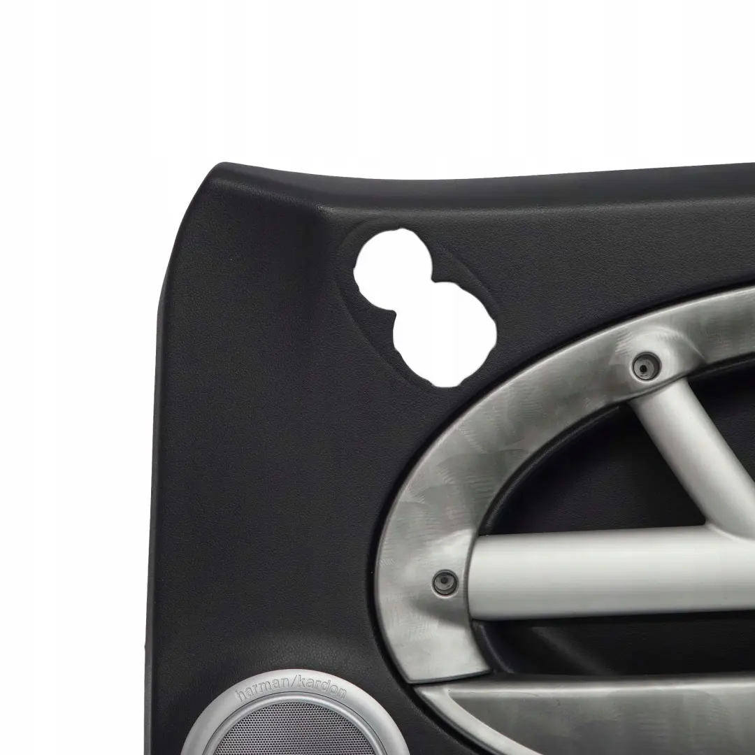 Mini R50 R53 Front Right O/S Door Card Side Trim Harman Kardon Alloy Patina - SKU 7141280-1 - Part number 7141280