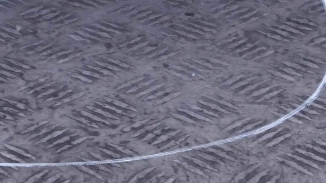 drzwi prawe przednie black saphire 475 do BMW 1 E87 o numerze 7191012 BMW 1 E87 drzwi prawe przednie black saphire 475 - SKU 7191012-BS32 - Numer Części 7191012