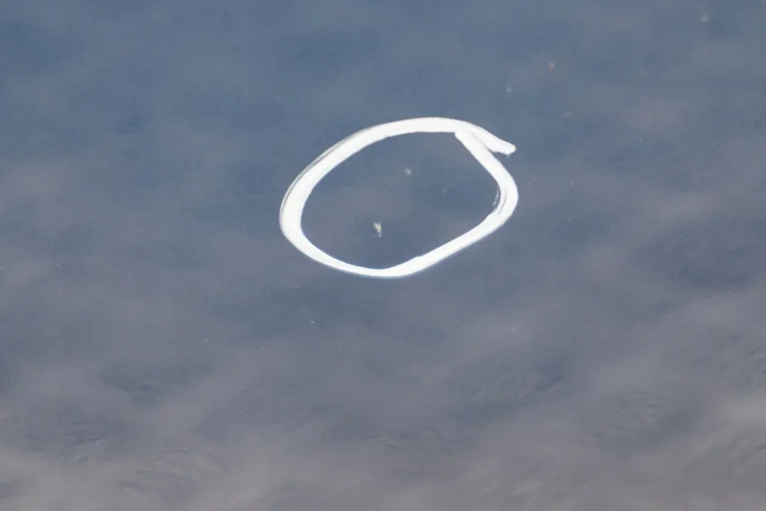 Door Front Right O/S Sydneyblau Sydney Blau Blue to BMW 1 Series 14 E87 E87N LCI with Part number 7191012 BMW 1 Series 14 E87 E87N LCI Door Front Right O/S Sydneyblau Sydney Blau Blue - SKU 7191012-SYD14 - Part number 7191012