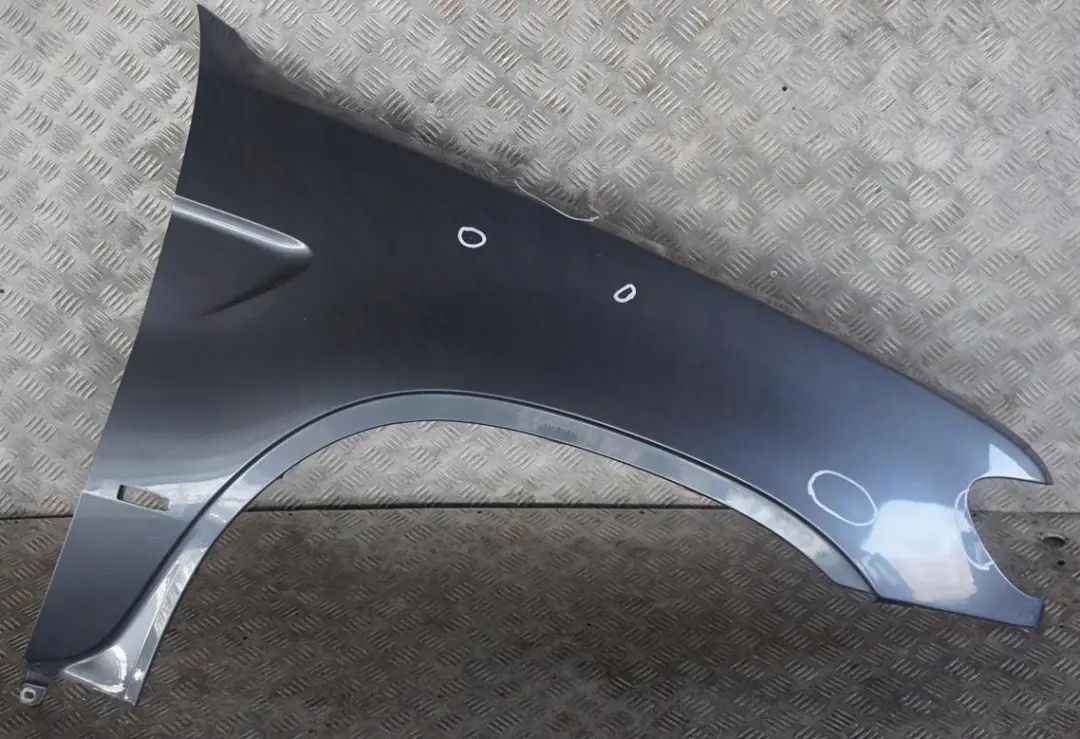 Pannello Laterale Anteriore Destro Parafango Grigio Acciaio Grigio - BMW X5 E53 - SKU 7000386-STH - Numero di parte 7000386