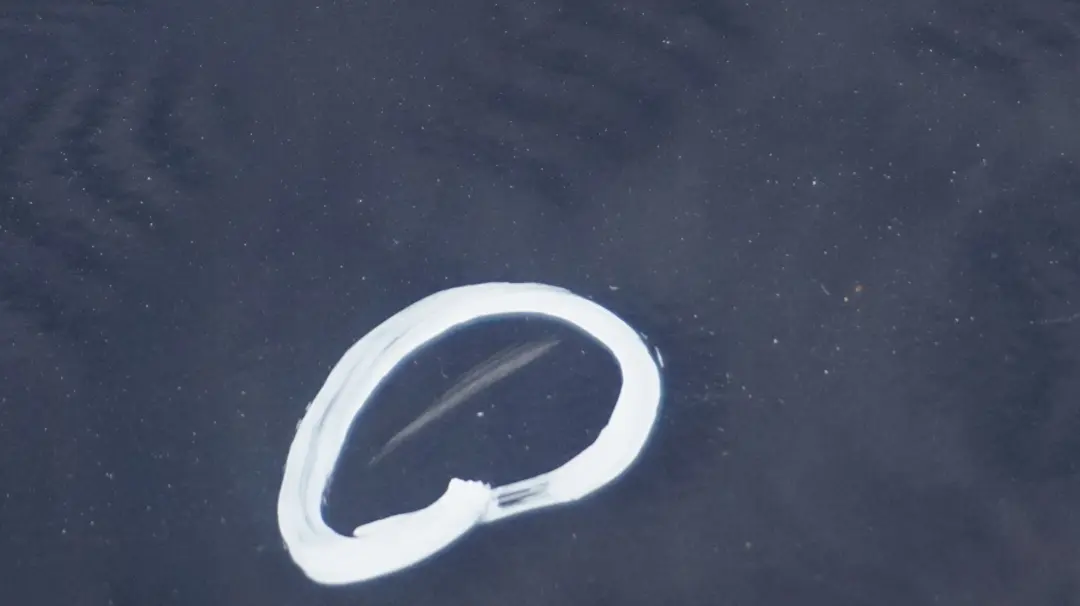 Nakładka listwa próg lewy Tiefseeblau do BMW E87 LCI o numerze 0036145 BMW E87 LCI Nakładka listwa próg lewy Tiefseeblau - SKU 0036145-DSB1 - Numer Części 0036145