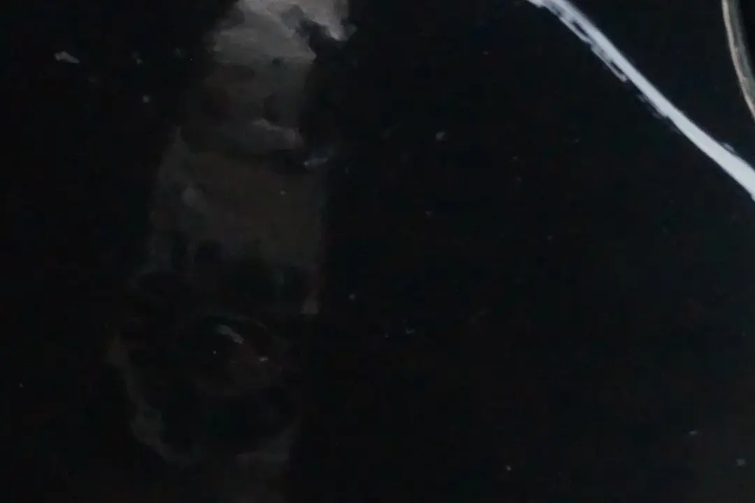 Front Bumper Panel PDC Oxfordgruen Oxford Green Metallic to BMW X5 Series 2 E53 with Part number 0010150 BMW X5 Series 2 E53 Front Bumper Panel PDC Oxfordgruen Oxford Green Metallic - SKU 0010150-OXF2 - Part number 0010150