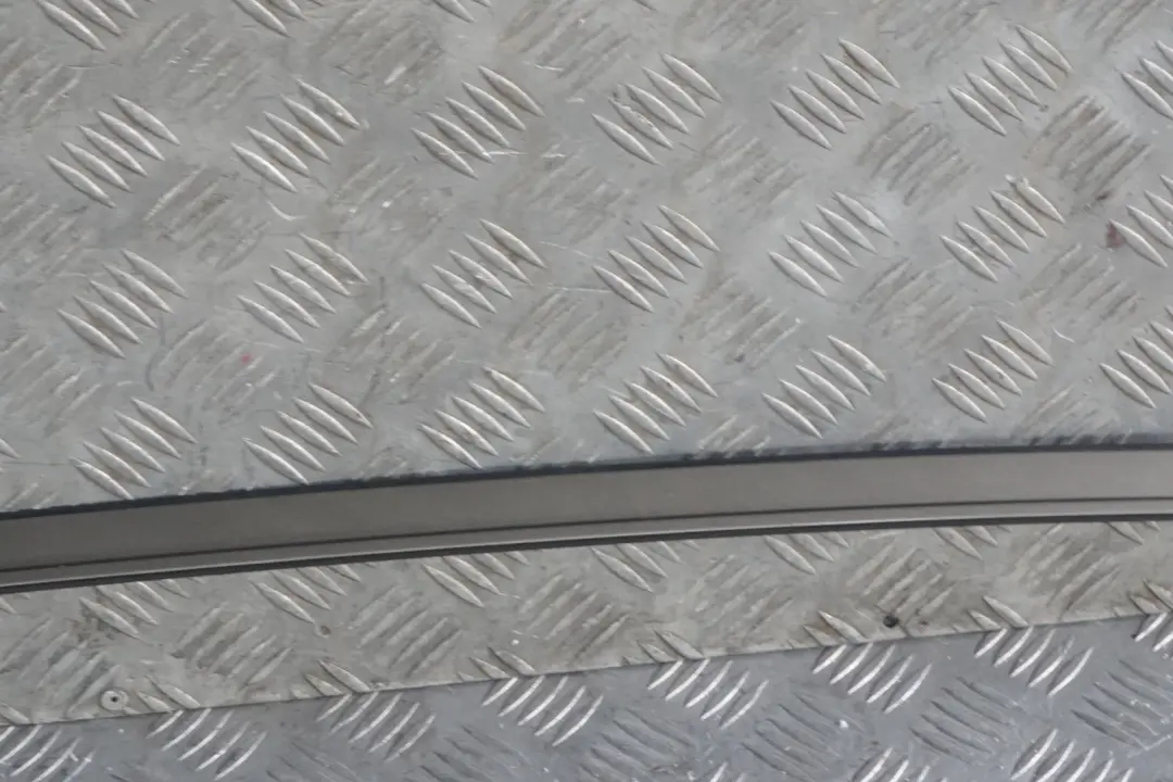 Linke Dachreling Dachrinnenschiene Platinbronze - A53 für BMW E60 mit Teilenummer 0031141 BMW E60 Linke Dachreling Dachrinnenschiene Platinbronze - A53 - SKU 0031141-PB - Teilenummer 0031141