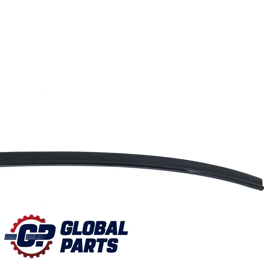 BMW 5er E60 Rails de Toit Gouttiere Droite Noir de Carbone Noir 7070196 - SKU 0031142-CAR - Numéro de pièce 0031142