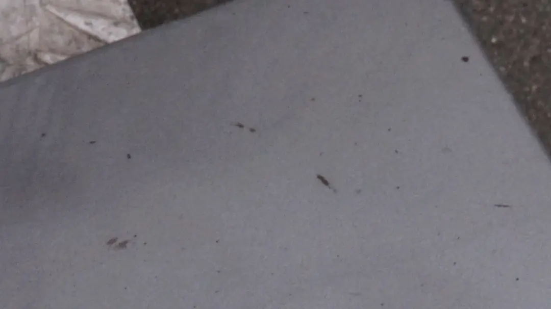 BMW 3 Series E46 Compact Right O/S Sill Strip Side Skirt Panel Silbergrau Grey - SKU 0031800-SBG - Part number 0031800