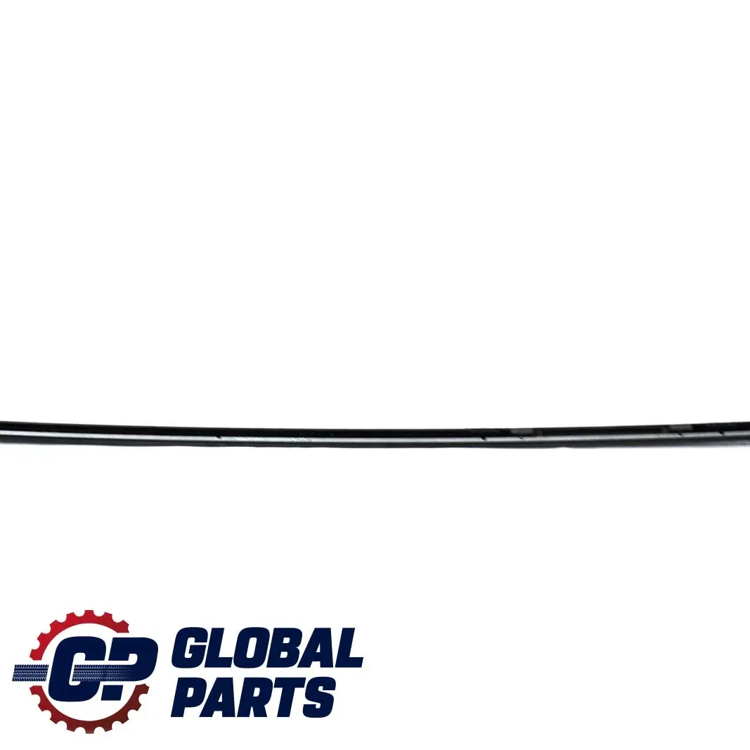 BMW E81 E87 Modanatura Tetto SX Grigio Space Grigio - A52 - SKU 0032701-SCG - Numero di parte 0032701