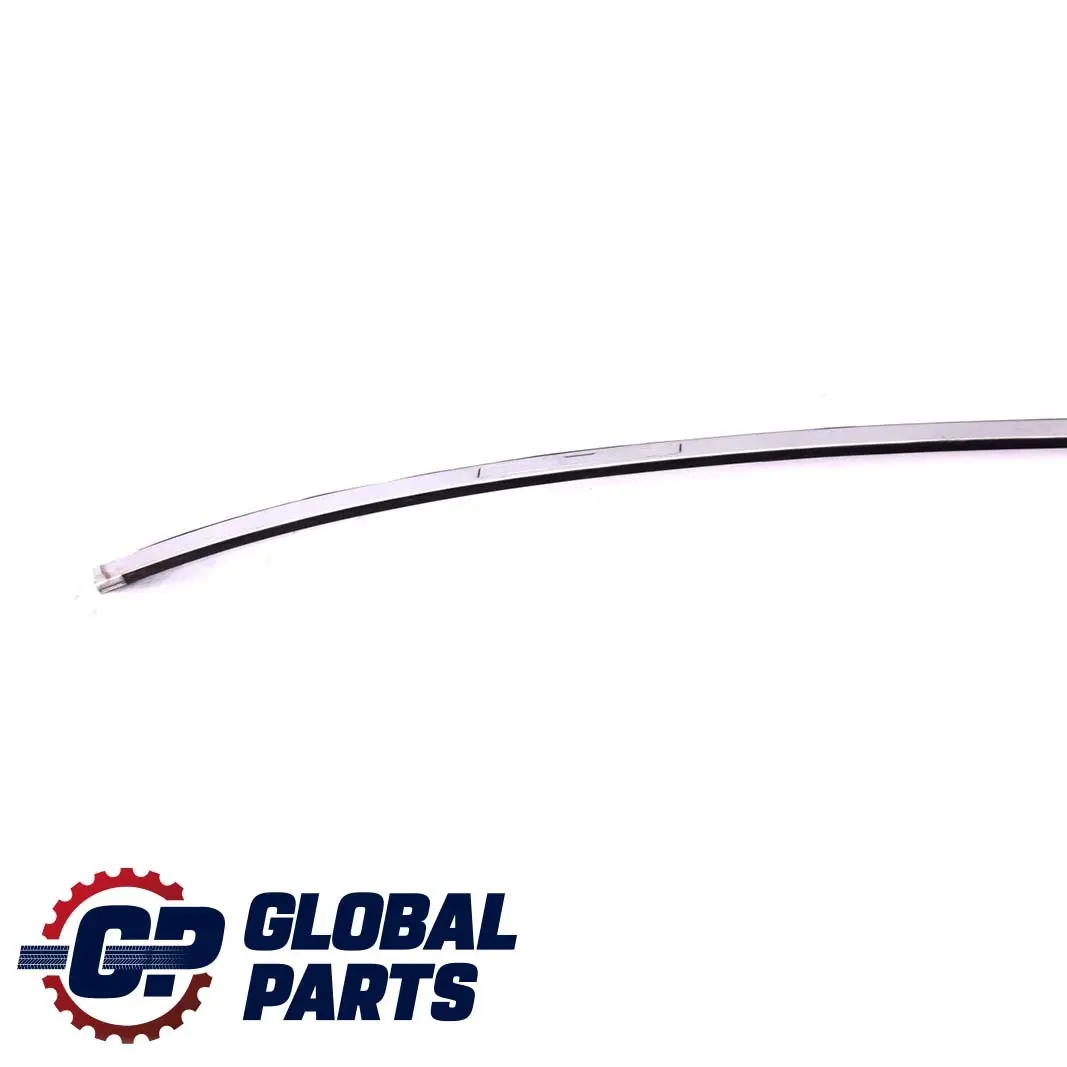 Izquierda Techo Moldura Barandilla Canalon N / Titansilber Titan Silver para BMW E90 con número de pieza 0032753 BMW E90 Izquierda Techo Moldura Barandilla Canalon N / Titansilber Titan Silver - SKU 0032753-TS - Número de pieza 0032753