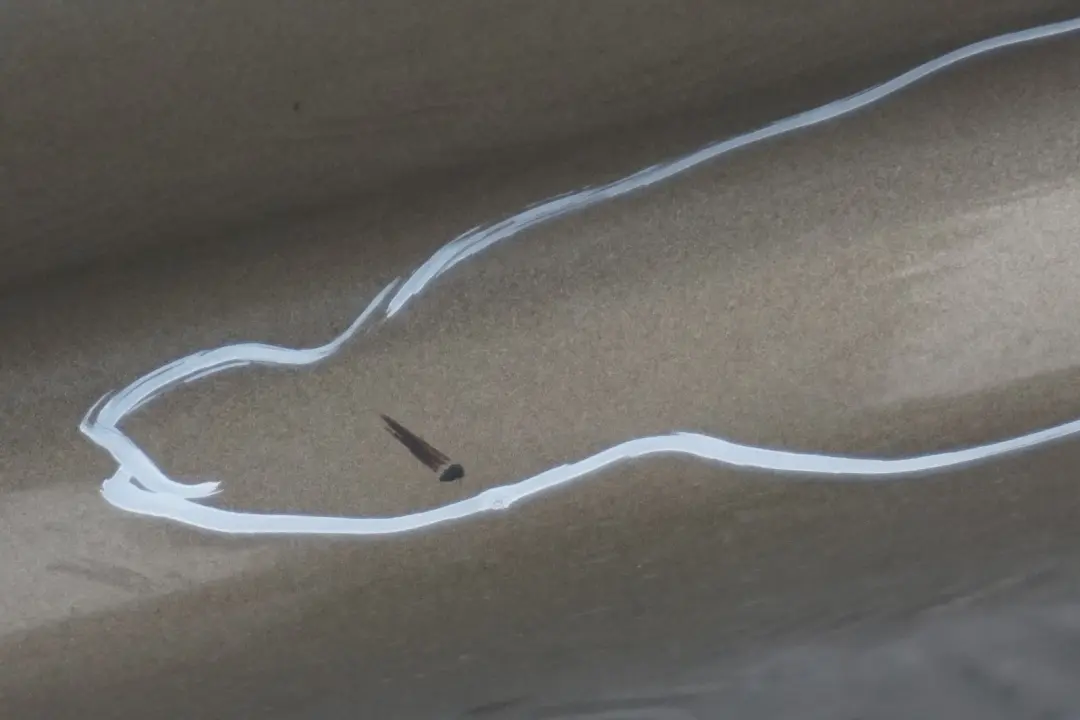 Sill Strip Faldon Lateral Derecho Sonora Metallic - A23 para BMW E87 con número de pieza 0032948 BMW E87 Sill Strip Faldon Lateral Derecho Sonora Metallic - A23 - SKU 0032948-SON4 - Número de pieza 0032948