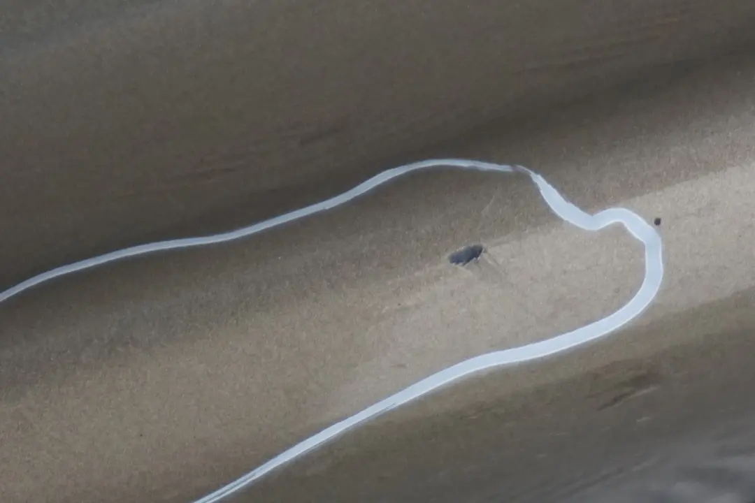 listwa nakładka próg prawy Sonora A23 do BMW 1 E87 o numerze 0032948 BMW 1 E87 listwa nakładka próg prawy Sonora A23 - SKU 0032948-SON4 - Numer Części 0032948