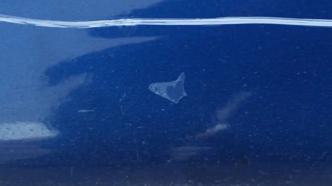 Sill Strip Side Skirt Left N/S Le Mans Blau Blue to BMW 1 SERIES E87 E87N M Sport with Part number 33557 BMW 1 SERIES E87 E87N M Sport Sill Strip Side Skirt Left N/S Le Mans Blau Blue - SKU 0033557-LMB - Part number 33557