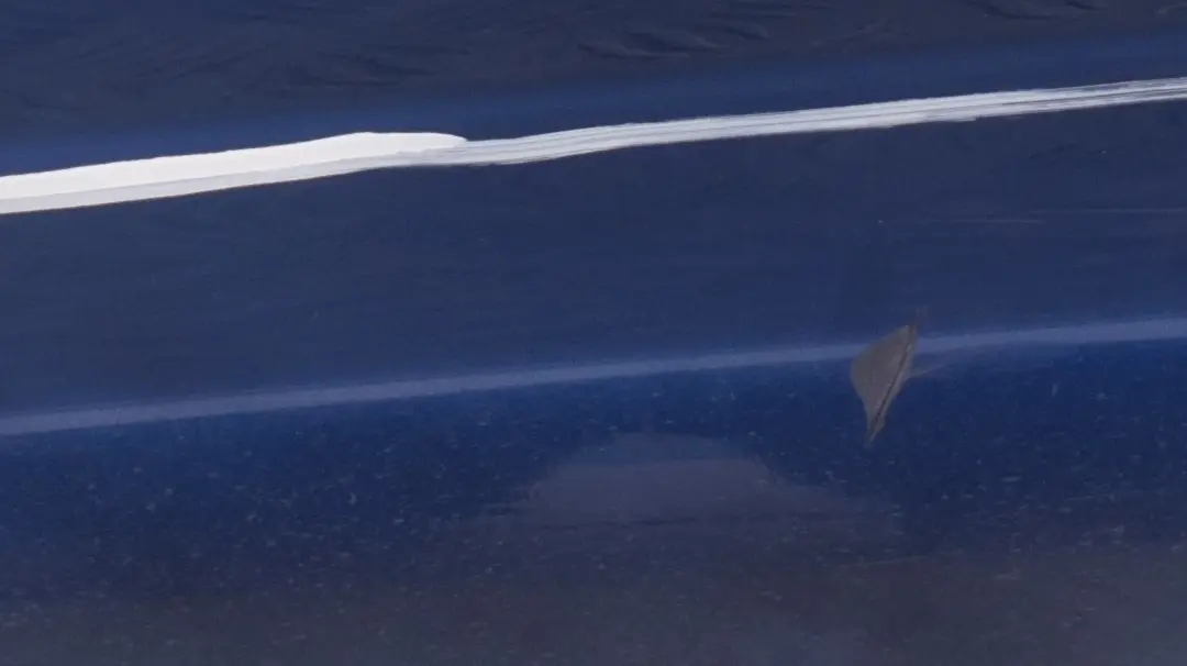 Schwellerleiste Lackiert Links Le Mans Blue Blau für BMW 1 er 4 E81 E82 E88 M SPORT mit Teilenummer 0034731 BMW 1 er 4 E81 E82 E88 M SPORT Schwellerleiste Lackiert Links Le Mans Blue Blau - SKU 0034731-LM4 - Teilenummer 0034731