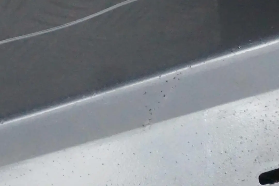 Sill Strip Side Skirt left N/S Bluewater Blue Water to BMW 3 Series E90 E91 LCI 1 with Part number 0037059 BMW 3 Series E90 E91 LCI 1 Sill Strip Side Skirt left N/S Bluewater Blue Water - SKU 0037059-WB1 - Part number 0037059