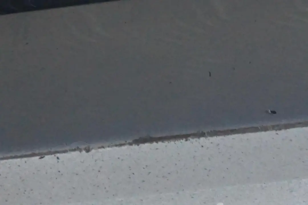 nakładka próg lewy Bluewater do BMW E90 LCI o numerze 0037059 BMW E90 LCI nakładka próg lewy Bluewater - SKU 0037059-WB2 - Numer Części 0037059