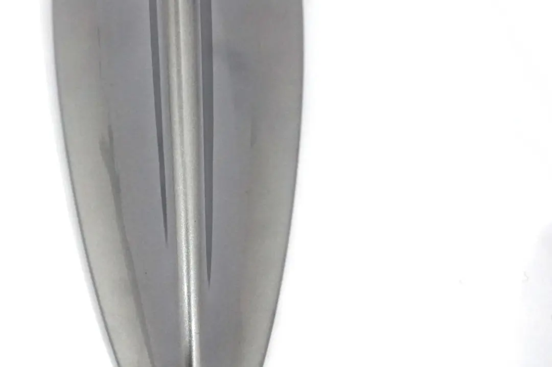BMW 5 Series E60 Empty Housing For Roof Antenna Shark Silbergrau Silver Grey - SKU 0301273-SBG - Part number 0301273