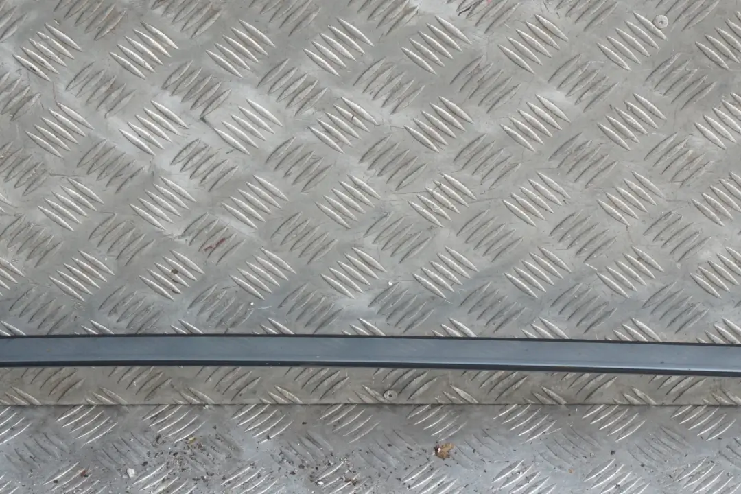 BMW X3 Series E83 Left N/S Roof Moulding Trim Strip Bluewater Blue - 896 - SKU 0304929-WB1 - Part number 0304929