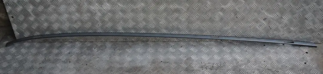 BMW X3 Series E83 Left N/S Roof Moulding Trim Strip Bluewater Blue - 896 - SKU 0304929-WB1 - Part number 0304929
