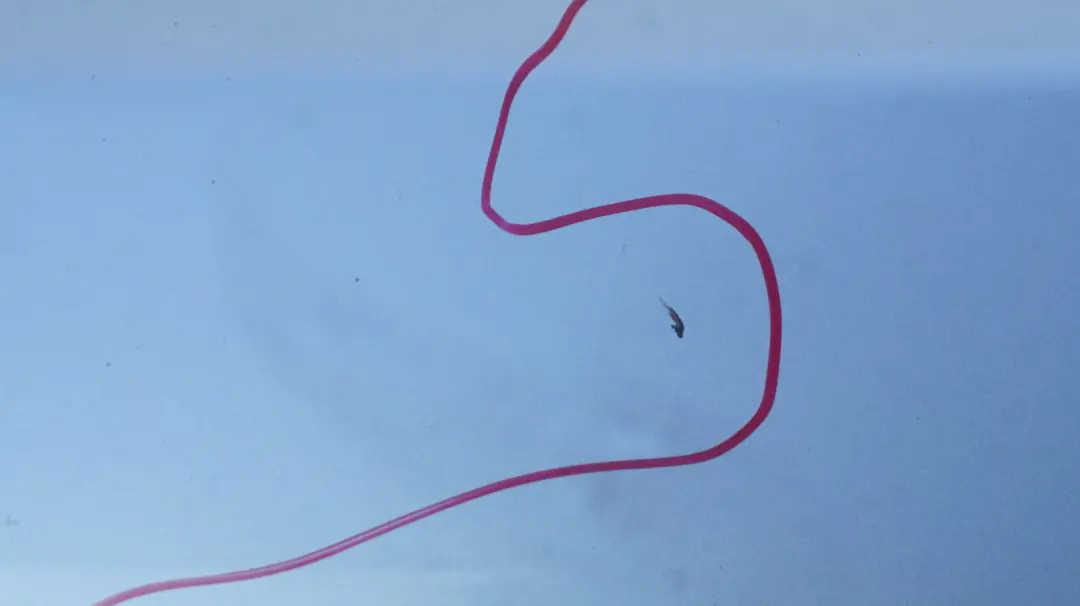 Bumper Trim Panel PDC Titansilber Titan Silver to BMW 5 Series E61 Touring Rear with Part number 0306983-TS BMW 5 Series E61 Touring Rear Bumper Trim Panel PDC Titansilber Titan Silver - SKU 0306983-TS - Part number 0306983-TS