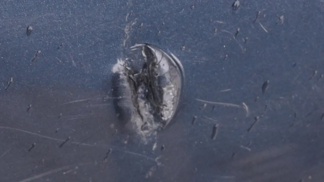 Bumper Trim Panel Astro Black Metallic - A25 to BMW MINI Cooper R50 1 Rear with Part number 0393501 BMW MINI Cooper R50 1 Rear Bumper Trim Panel Astro Black Metallic - A25 - SKU 0393501-ASB1 - Part number 0393501