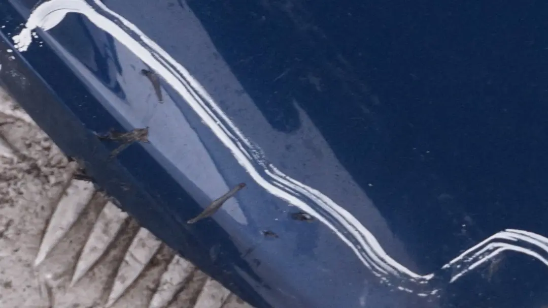 Bumper Diffuser Cover Trim Mysticblau Blue to BMW 5 Series E60 E61 M Sport Rear with Part number 0395228 BMW 5 Series E60 E61 M Sport Rear Bumper Diffuser Cover Trim Mysticblau Blue - SKU 0395228 - Part number 0395228