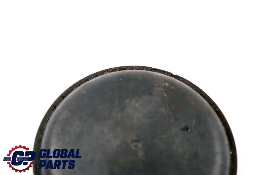 Capuchon Cap Avant 3133 pour BMW E65 E53 à propos du numéro de pièce 1090616 BMW E65 E53 Capuchon Cap Avant 3133 - SKU 1090616 - Numéro de pièce 1090616