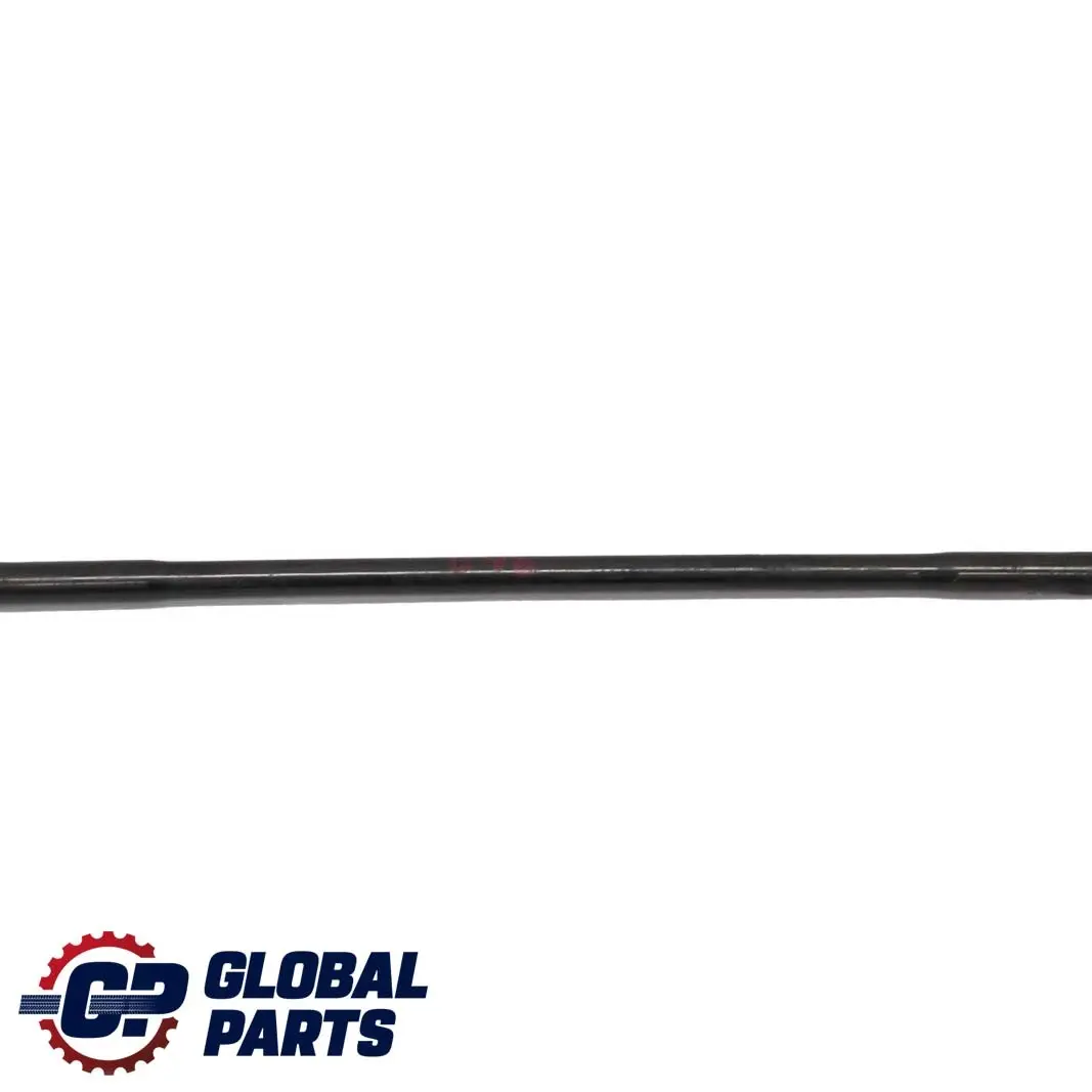 Hinterachse Hinten Stabilisator für BMW 3 E46 Limousine Compact mit Teilenummer 1095272 BMW 3 E46 Limousine Compact Hinterachse Hinten Stabilisator - SKU 1095272 - Teilenummer 1095272