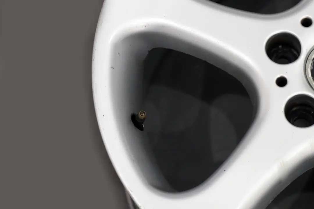 Alloy Rim 18" Star Spoke 69 8,5J ET:48 to BMW X5 SERIES E53 Wheel with Part number 1096227 BMW X5 SERIES E53 Wheel Alloy Rim 18" Star Spoke 69 8,5J ET:48 - SKU 1096227-1 - Part number 1096227