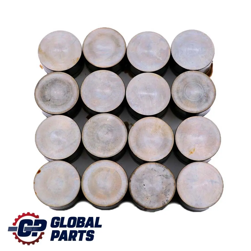 4.4i M62 Hydraulic Valve Lifter Set to BMW 5 7 X5 Series 1 E38 E39 E53 with Part number 1440256 BMW 5 7 X5 Series 1 E38 E39 E53 4.4i M62 Hydraulic Valve Lifter Set - SKU 1440256-1 - Part number 1440256