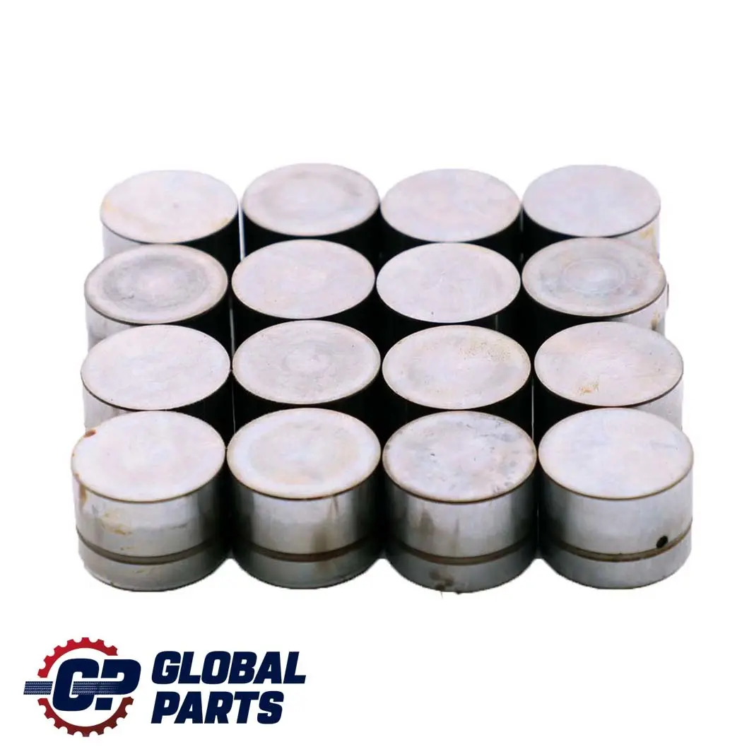 4.4i M62 Juego De taqu?s hidraulicos para BMW 1 E38 E39 E53 con número de pieza 1440256 BMW 1 E38 E39 E53 4.4i M62 Juego De taqu?s hidraulicos - SKU 1440256-1 - Número de pieza 1440256