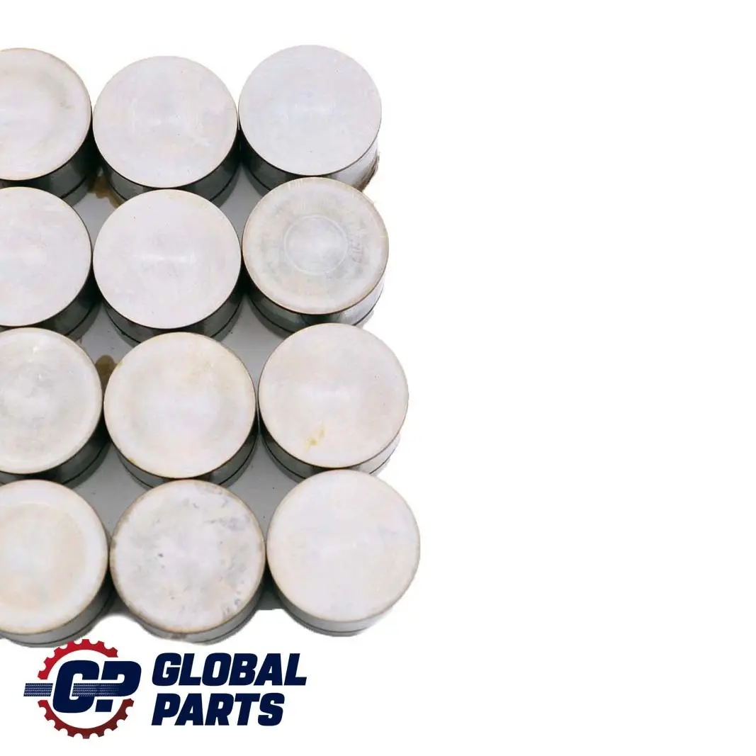 4.4i M62 Sollevatore Idraulico Set per BMW X5 E38 E39 E53 con numero di parte 1440256 BMW X5 E38 E39 E53 4.4i M62 Sollevatore Idraulico Set - SKU 1440256-1 - Numero di parte 1440256