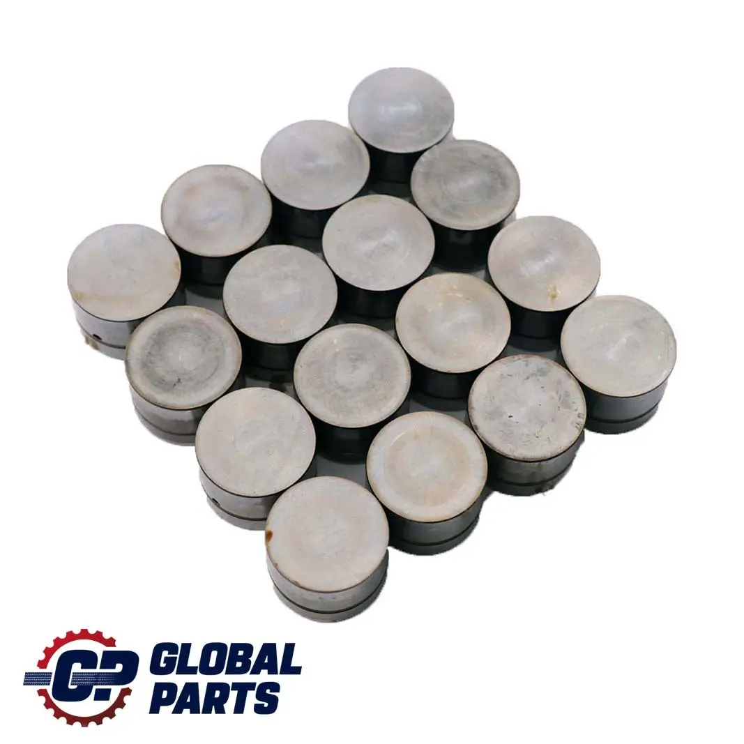 4.4i M62 Sollevatore Idraulico Set per BMW X5 E38 E39 E53 con numero di parte 1440256 BMW X5 E38 E39 E53 4.4i M62 Sollevatore Idraulico Set - SKU 1440256-1 - Numero di parte 1440256